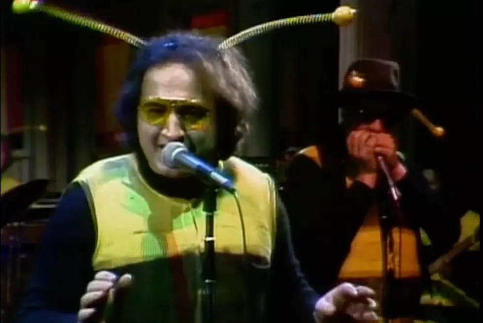 Why the Blues Brothers Made Their 'SNL' Debut in Bee Costumes