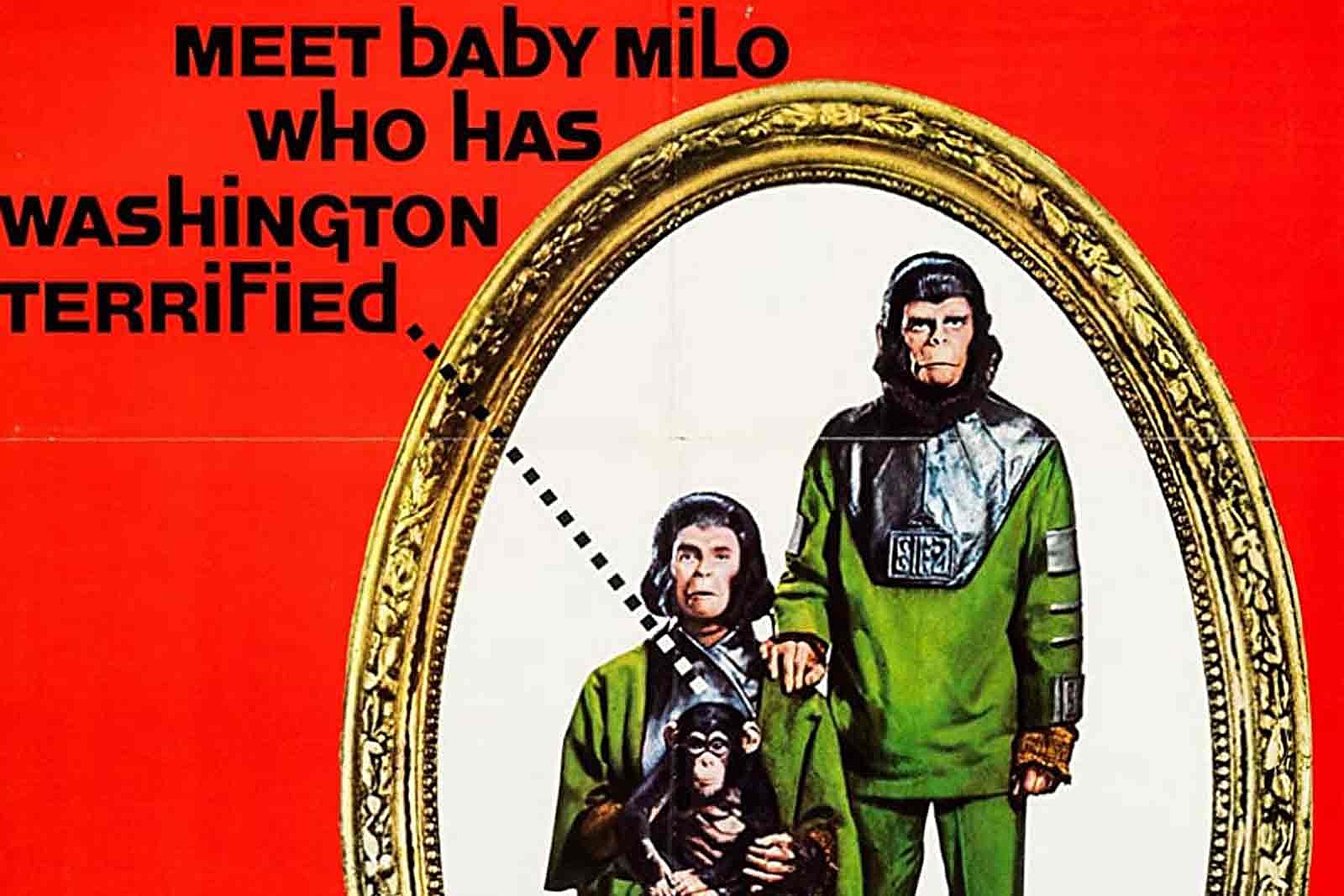Stalag 17 Porn - 50 Years Ago: 'Escape From Planet of the Apes' Explores New World