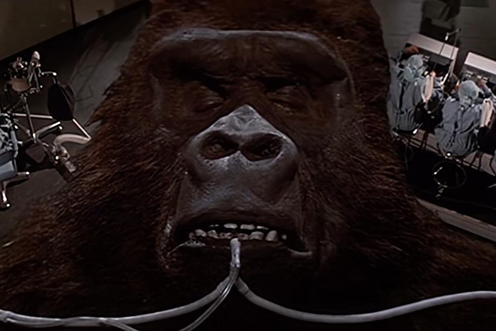 35 Years Ago: Why ‘King Kong Lives’ Died a Quick Box Office Death