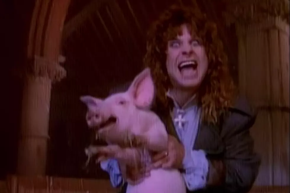 When Ozzy Osbourne Made 60 Pigs Take ‘A Massive S—-‘
