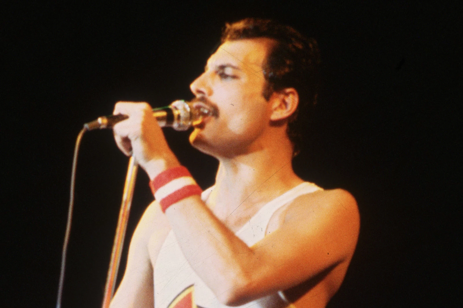 Why Freddie Mercury Kept Buying Paintings in His Final Days