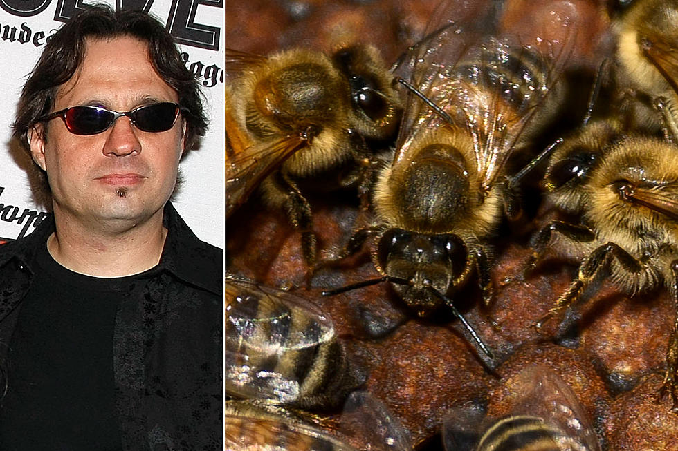 When Dave Lombardo Recorded a Drum Track Surrounded by Bees