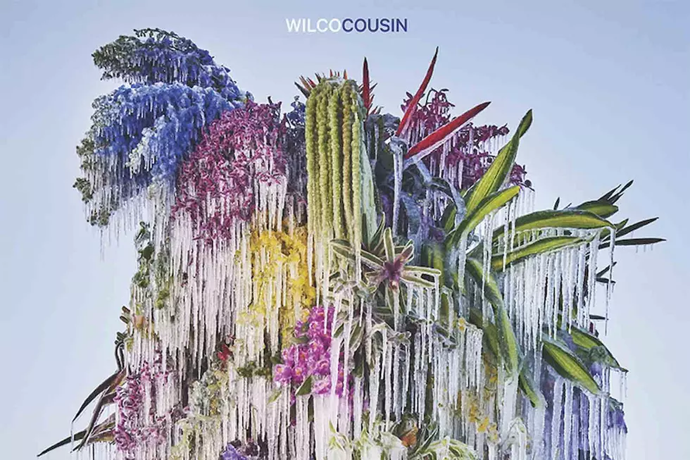 Wilco, 'Cousin': Album Review