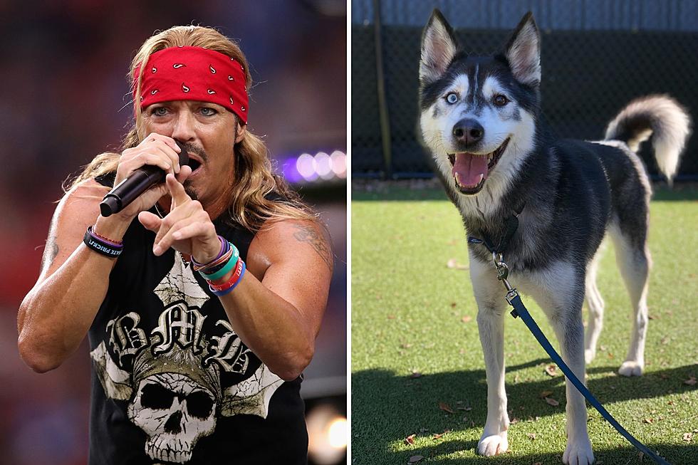Bret Michaels Adopts 'Heroic' Shelter Dog Named After Hi