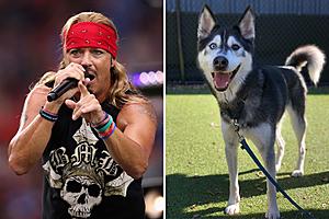 Bret Michaels Adopts ‘Heroic’ Shelter Dog That Was Named After...