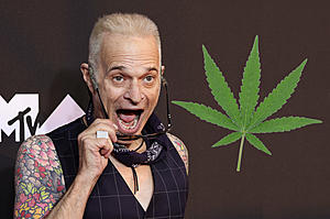 David Lee Roth Claims He Racked Up a $92,000 Weed Bill