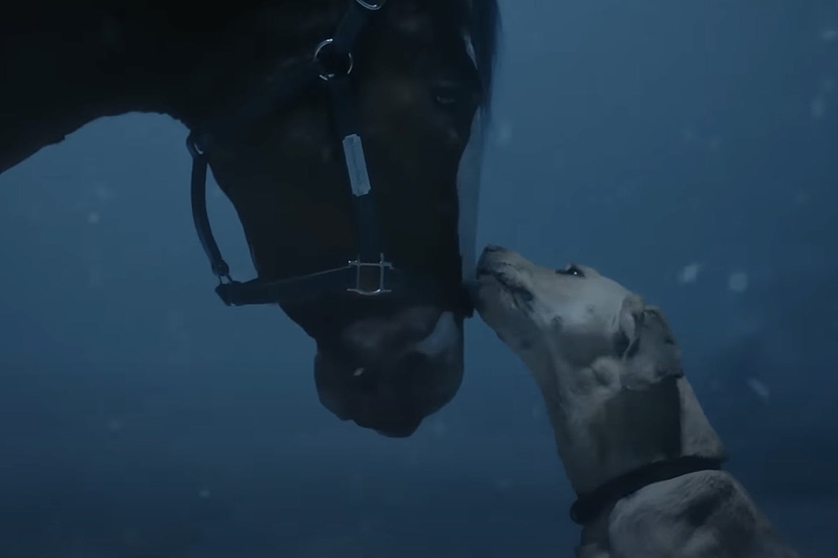 Budweiser’s Super Bowl Commercial Spotlights Hear the Band’s Classic Tune ‘The Weight’