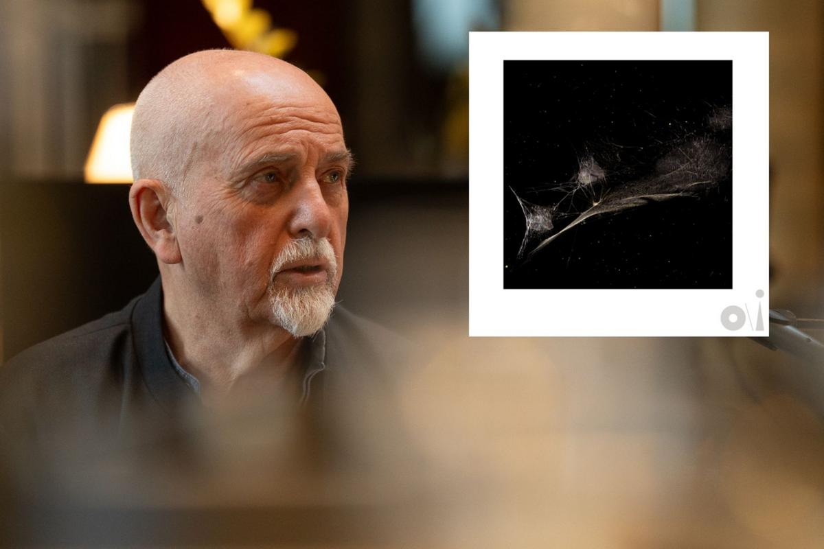 Peter Gabriel Releases New Song 'Put the Bucket Down'
