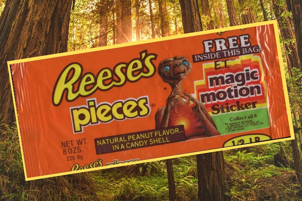 E.T. the Extra Terrestrial Reese's Pieces Candies