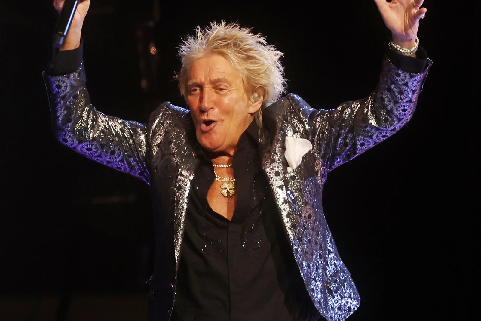 Rod Stewart Joined by Steven Van Zandt at 'One Last Time' Show