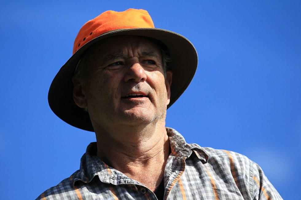 Who You Gonna Call? Bill Murray? Really?