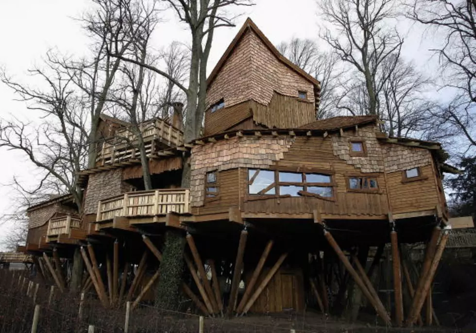 Luxury Out on a Limb: Fancy Treehouse For Sale
