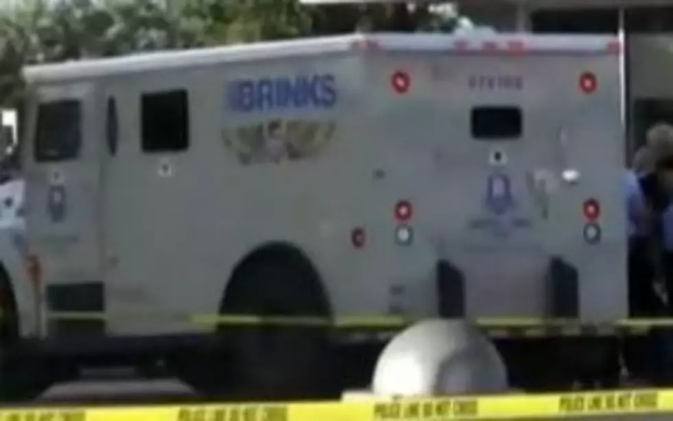 Duck Family Causes Armored Truck Crash