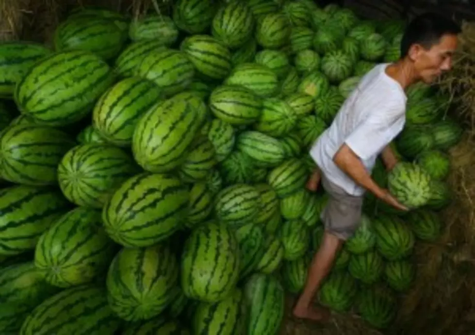 Exploding Watermelons Plague Chinese Farmers