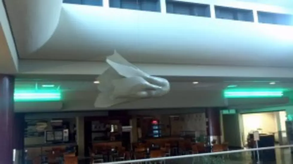 Lafayette Airport Artwork Has Travelers Perplexed