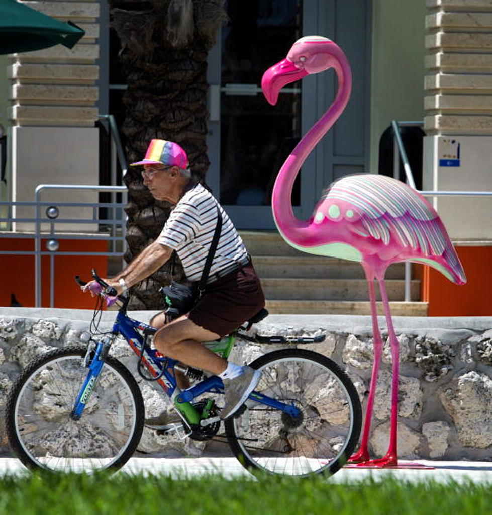 It’s A Record! Woman Collects Over 600 Flamingos