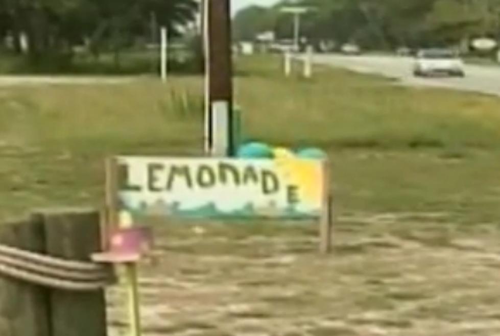 Cops Shut Down Kid’s Lemonade Stand, Is Common Sense On Vacation?