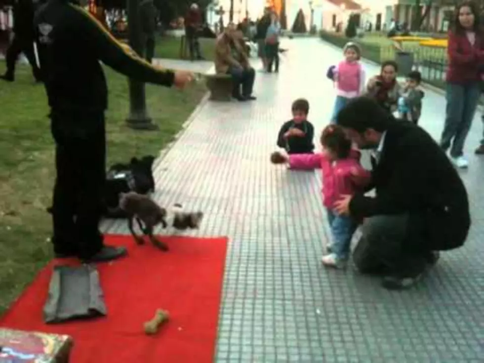 Amazing Dog Puppet Charms Child – Warning Extreme Cuteness! [Video]