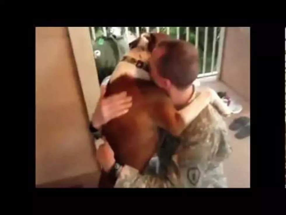 Tail Wagging Welcome Home ! The Best Of Dogs Greeting Returning Servicemen [Video]