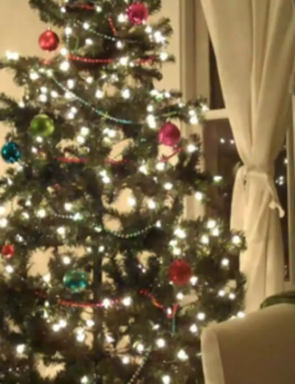 Christmas Tree Time &#8211; Artificial Versus Real