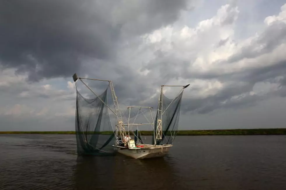 Louisiana’s Seafood Industry Need Us Now More Than Ever