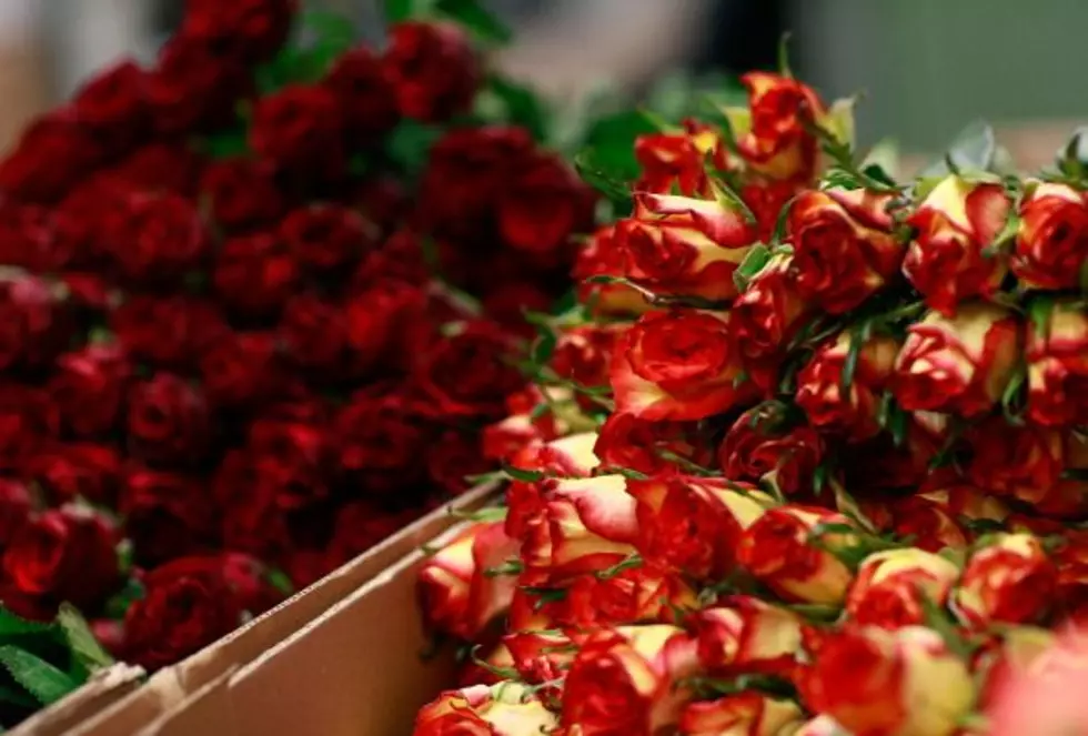 Win a Dozen Roses For Valentine’s Day [Quiz]