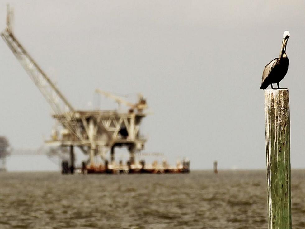 Do You Support Offshore Drilling? — Survey of the Day