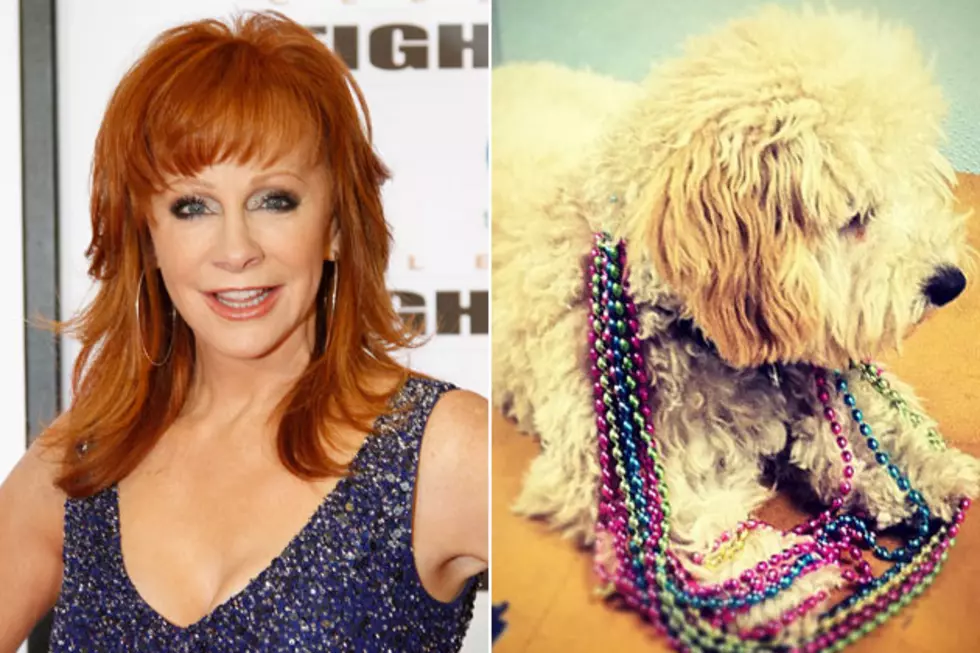 Daily Roundup: Reba McEntire, Cutest Pets in Country Music + More