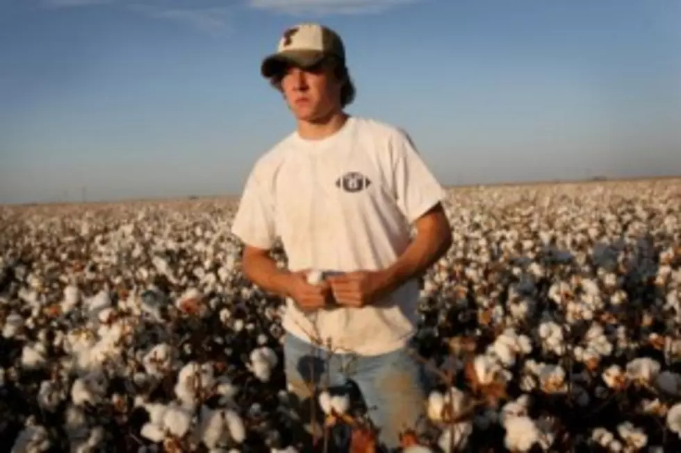 Hurricane Isaac Could Be Big Blow For Louisiana Farmers [Audio]