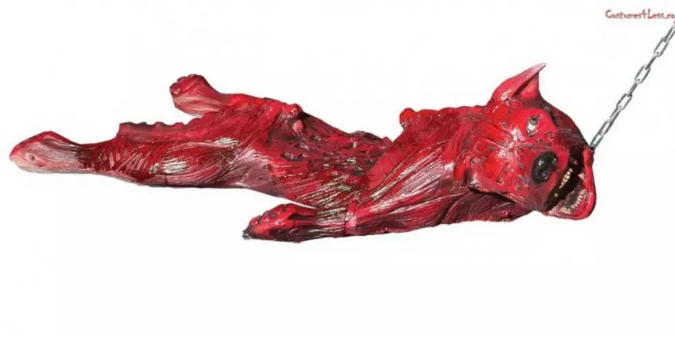 Big Box Stores Stop Selling Halloween Decoration That Looks Like Bloody, Skinned Dog