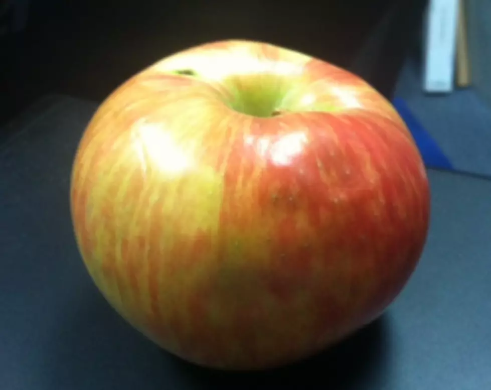 Honeycrisp Apples &#8211; Better Than Candy