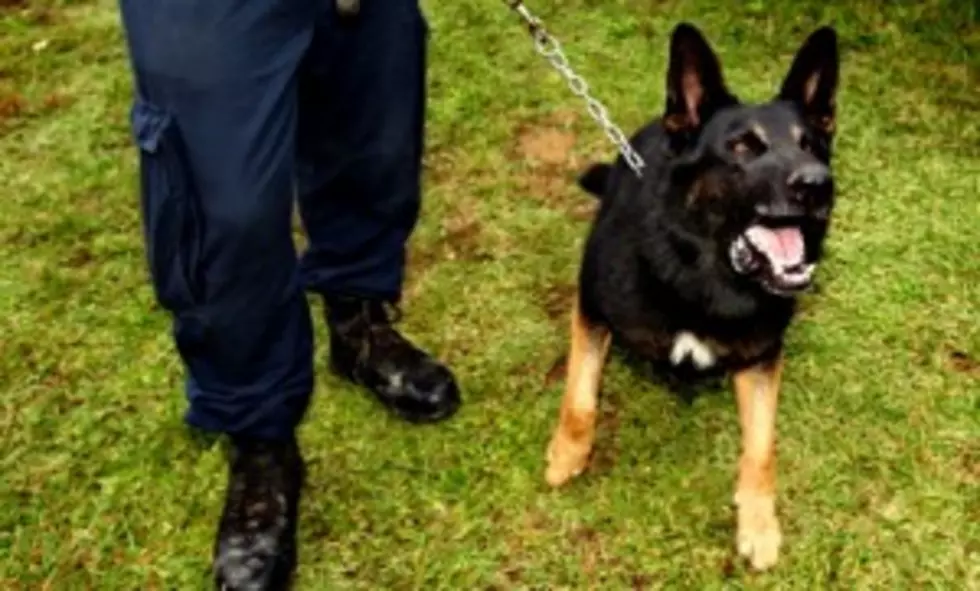 Kaplan Trained K-9 Cop is Canned