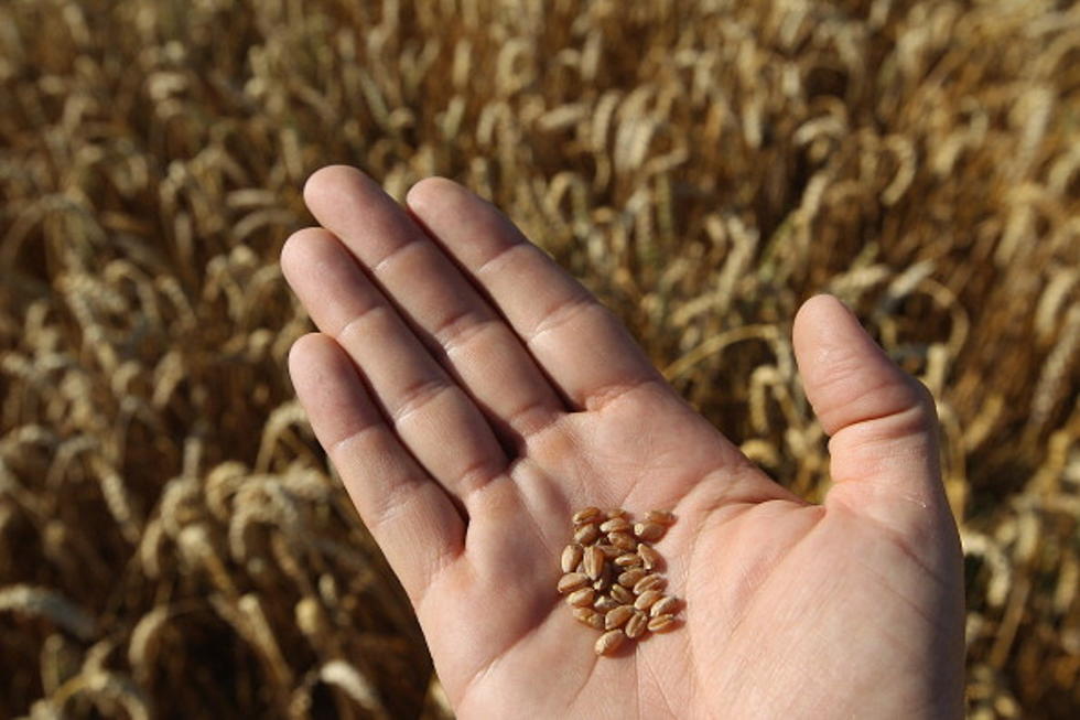 LSU Ag Center Advice On Gluten Free Products