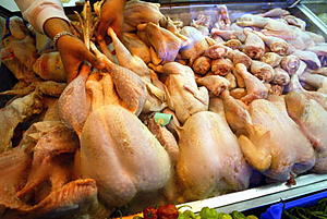 Will The Bird Flu Affect The Price Of Your Thanksgiving Turkey?