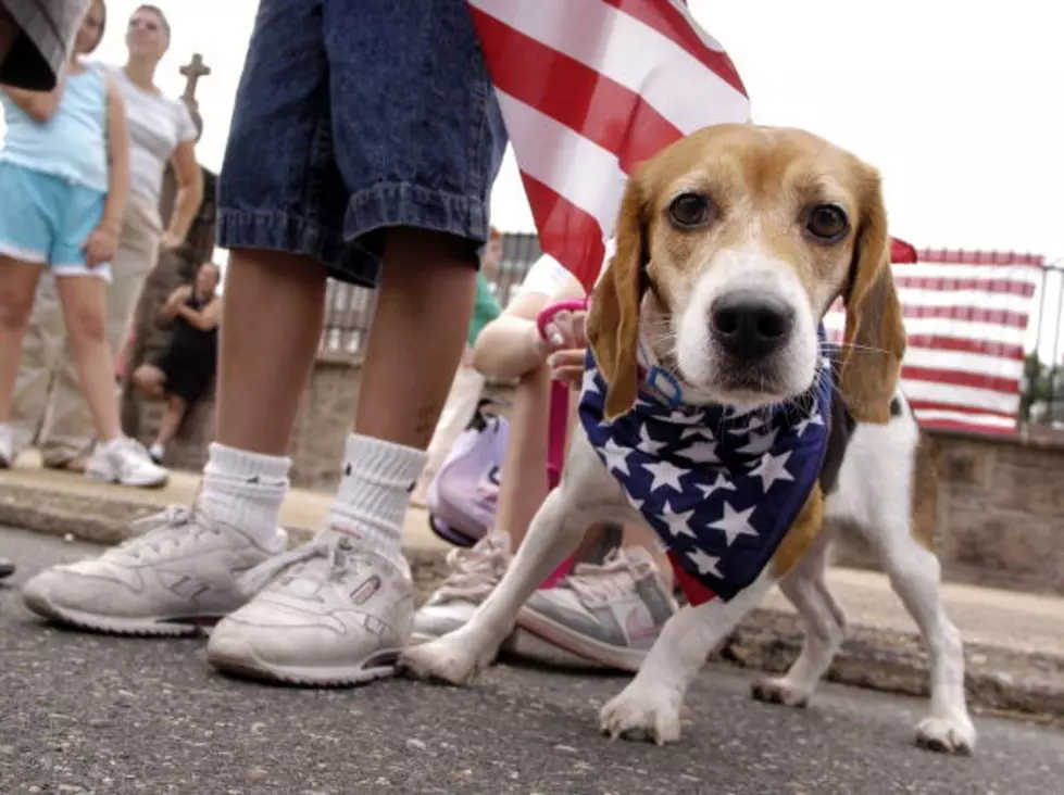 80th Annual Erath 4th of July