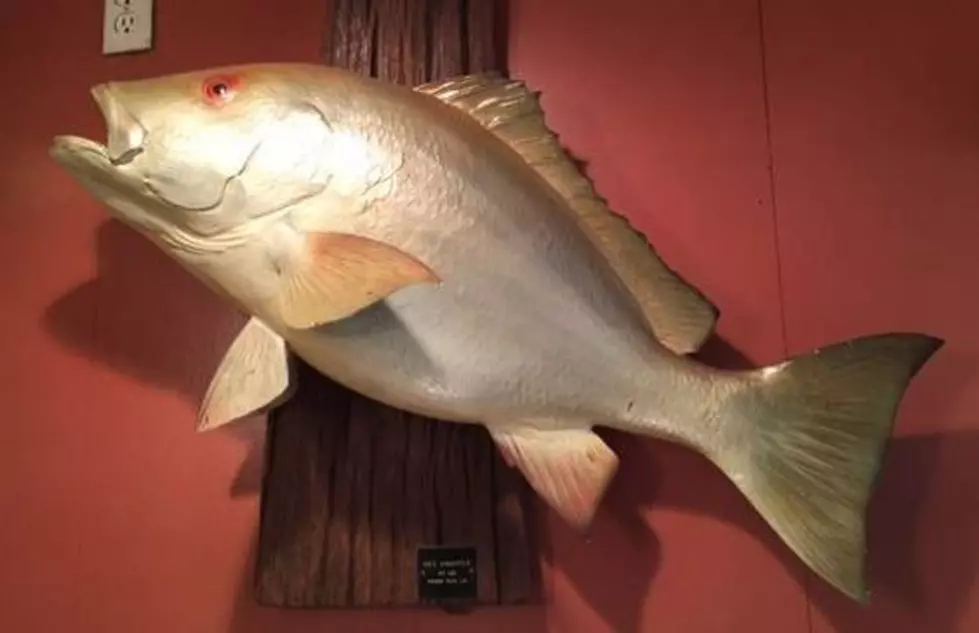 Louisiana&#8217;s Recreational Red Snapper Season Set