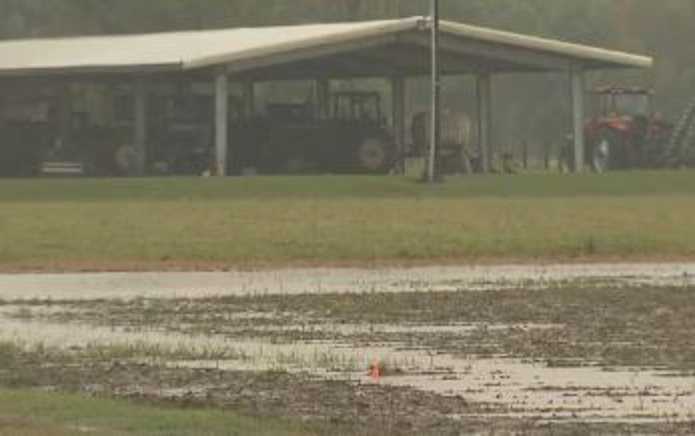 Wet Weather Poses Problems For South Louisiana Farmers