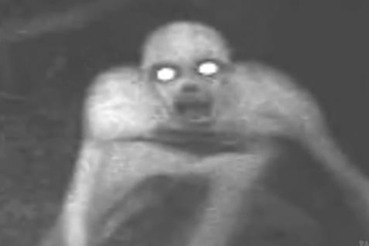 strange pictures in the woods, trail camera scary things, creepy pictures c...