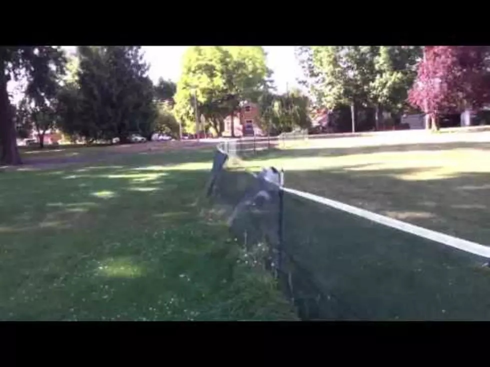 Dog’s Incredible Fence Flip [Watch]