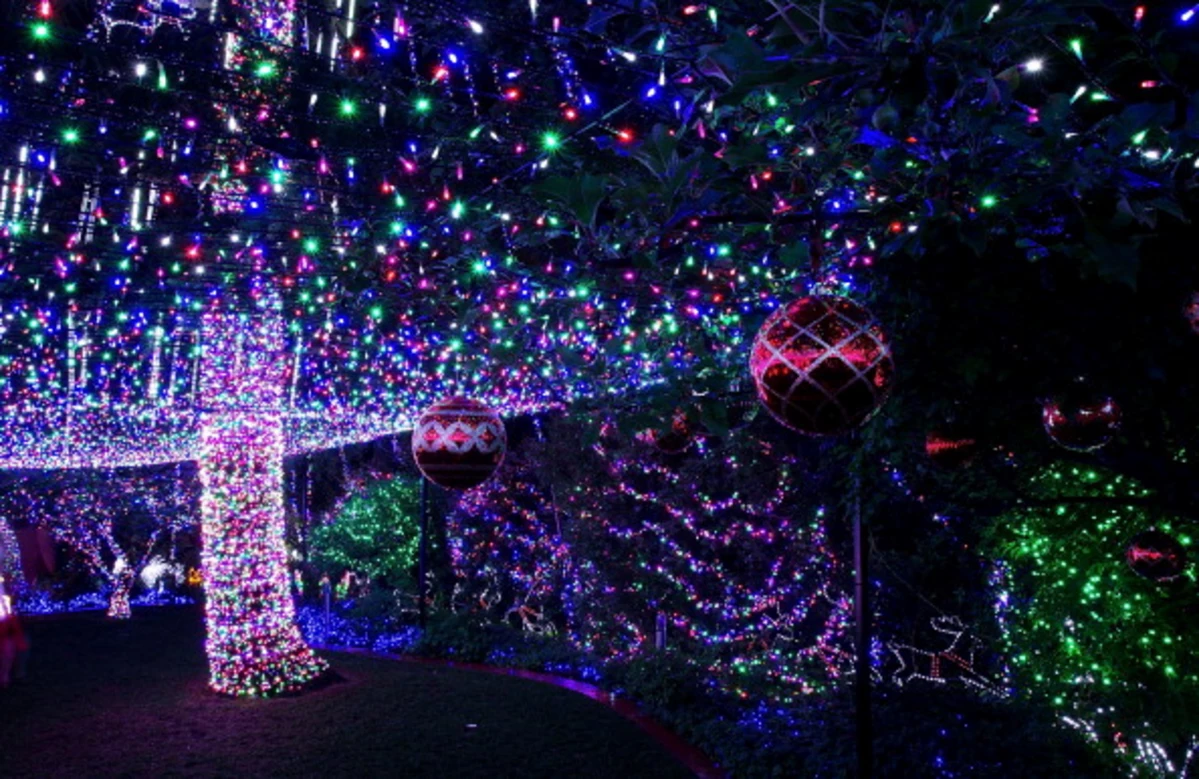 Lafreniere Park Christmas Lights 2021