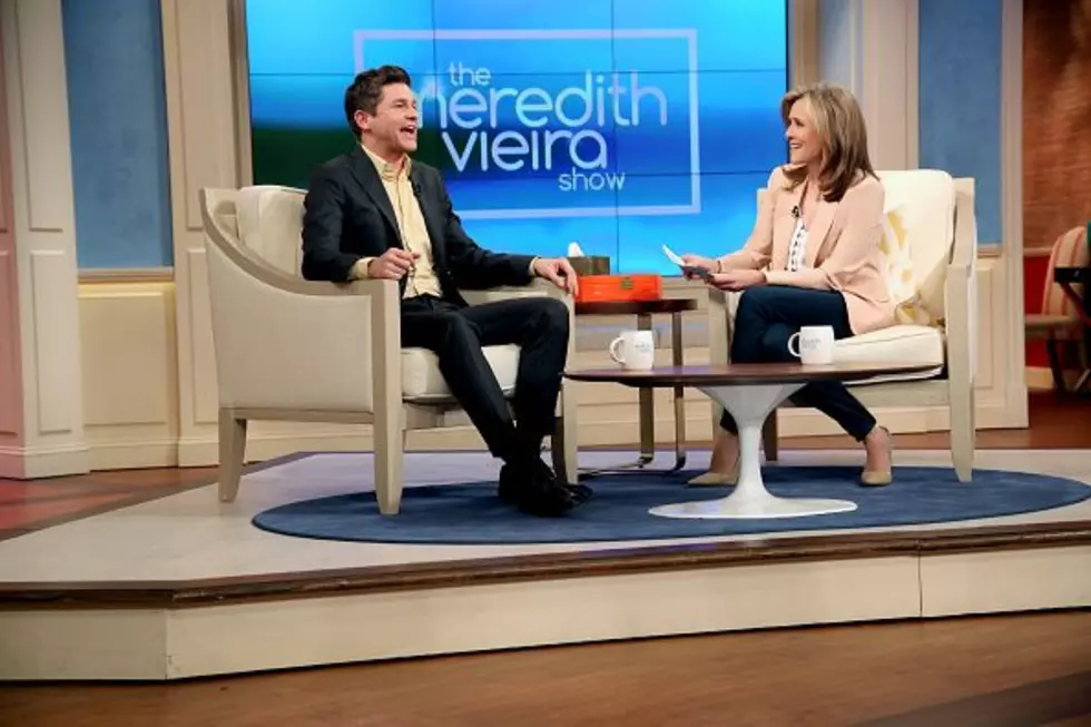 The Meredith Vieira Show To End After Two Seasons