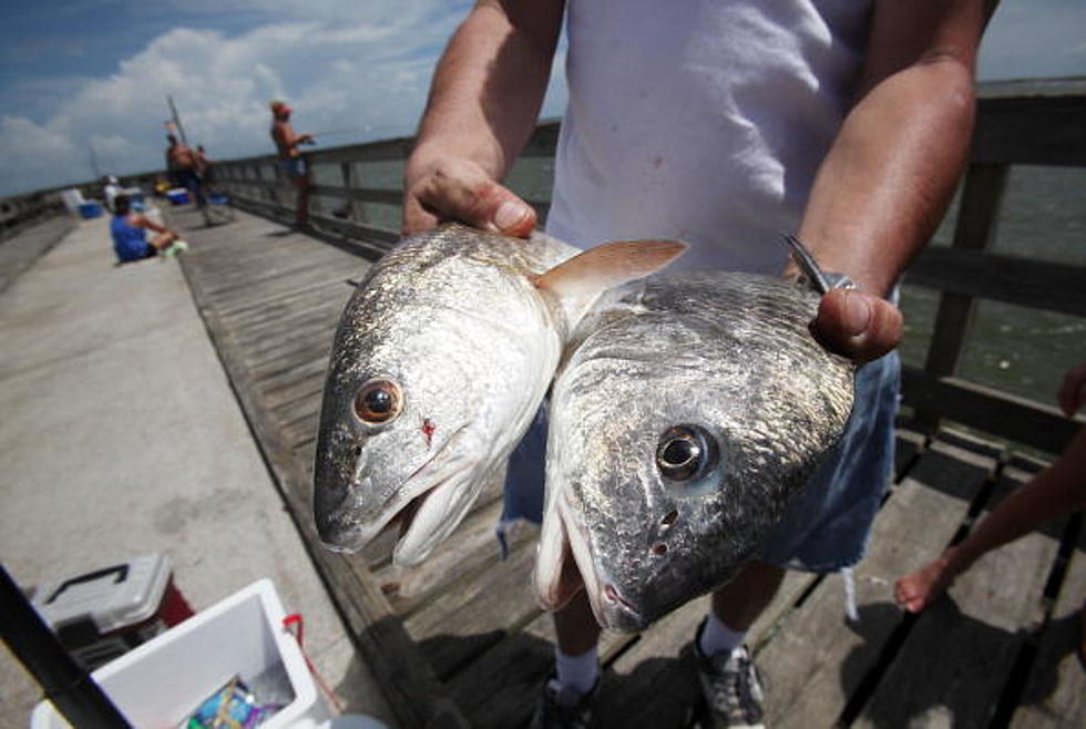Best Locations for Saltwater Fishing in Louisiana