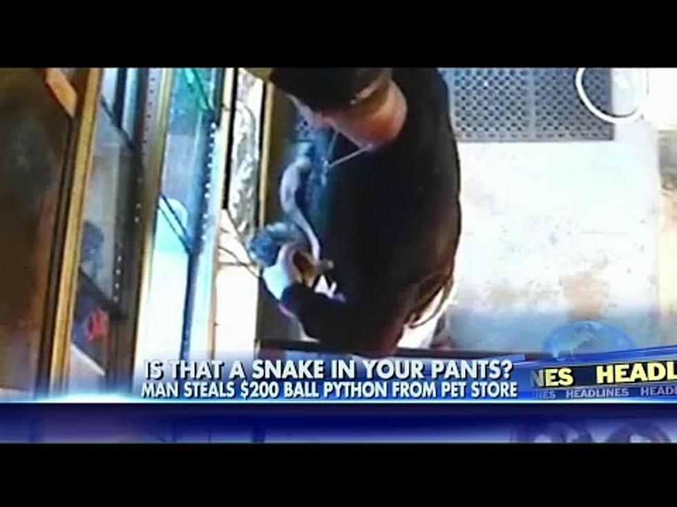 Man Shoplifts a Python By Sticking It Down His Pants