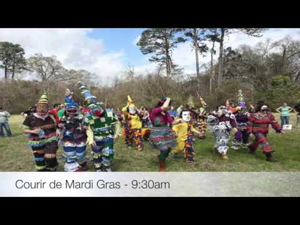 Courir De Mardi Gras at Lafayette Farmers and Artisans Market [VIDEO]
