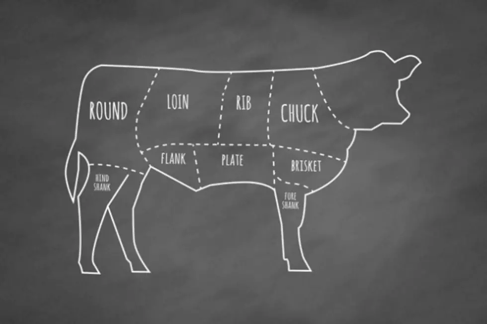 Crowdcow.com Lets You Buy Shares Of A Cow Before It’s Butchered Giving You The Freshest Beef On Earth