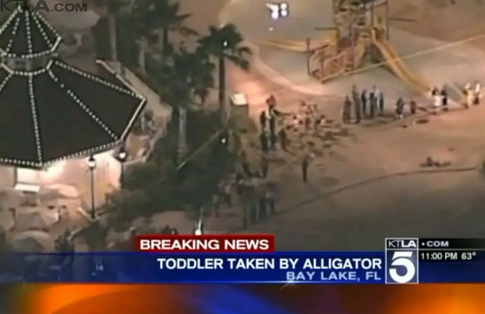 Two-Year-Old Boy Dragged Into Water By Alligator At Disney World In Orlando [Video]