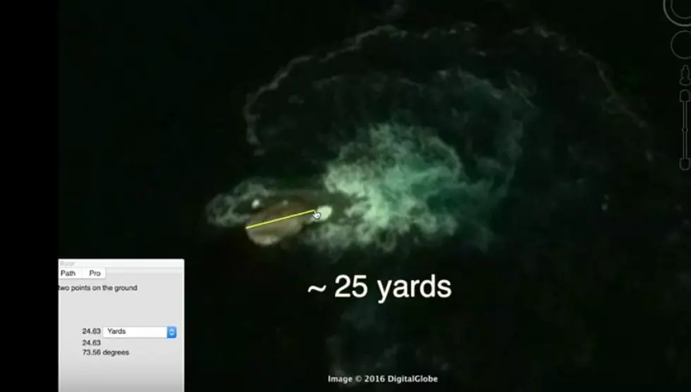 Giant ‘Sea Creature’ Spotted Off Antarctica By Google Earth [Video]