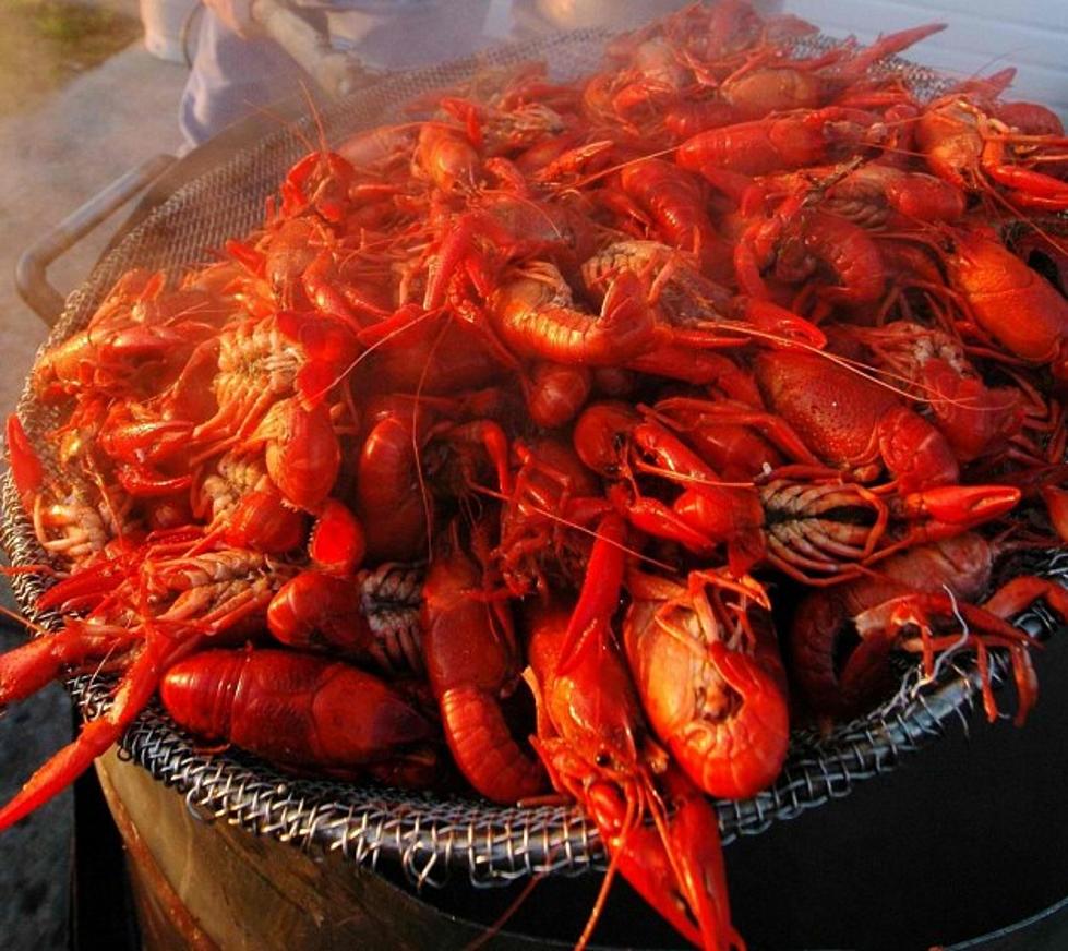 Louisiana Football Players Explain How to Eat Boiled Crawfish [VIDEO]