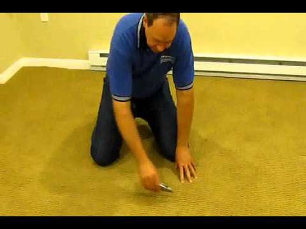 How To Remove Flood Damaged Carpet [Video]