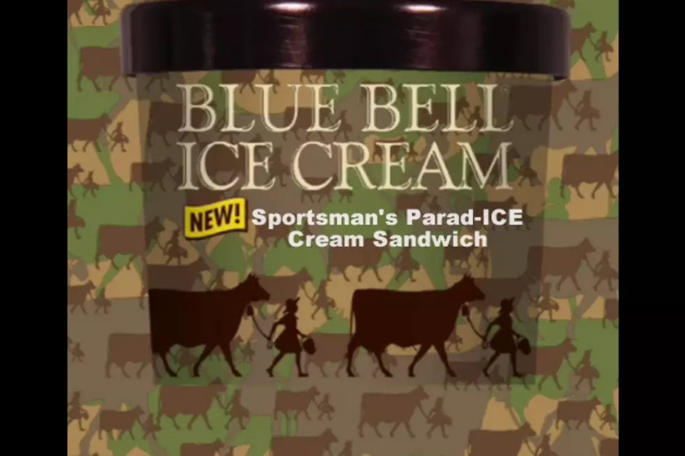 15 New Blue Bell Louisiana Sportsman Inspired Flavors We Hope Are Announced On September 1st